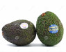 AVACADO AVANZA IMPORTED