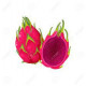 DRAGON FRUIT RED