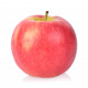 APPLE NZ ROSE