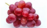 GRAPES IMPORTED RED GLOBE
