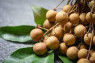 LONGAN THAILAND
