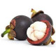 MANGOSTEEN IMPORTED