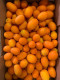 KUMQUATS