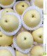 PEARS GOLDEN ASIAN