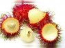 RAMBUTAN IMPORTED PAC